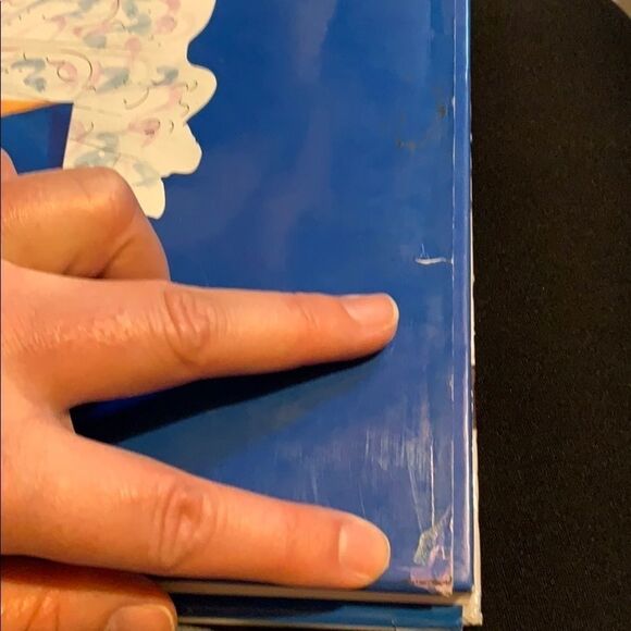 Diana Queen of Style by Jackie Moldinger - Picture 9 of 9